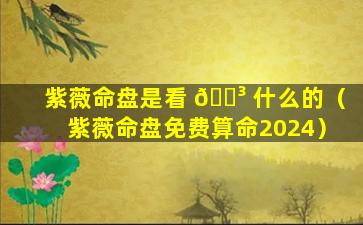 紫薇命盘是看 🐳 什么的（紫薇命盘免费算命2024）